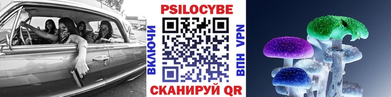 наркота  мега рабочий сайт  Галлюциногенные грибы Psilocybe  Сосновый Бор 